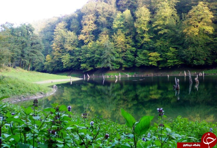 طبیعتی زیبا که پنهان است + تصاویر