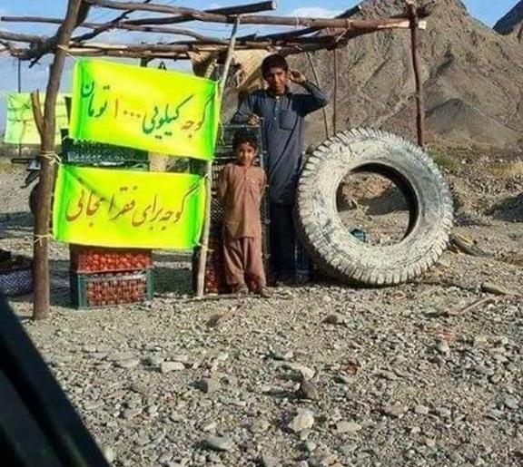 عکس/ گوجه کیلویی ۱۰۰۰ اما برای فقرا مجانی
