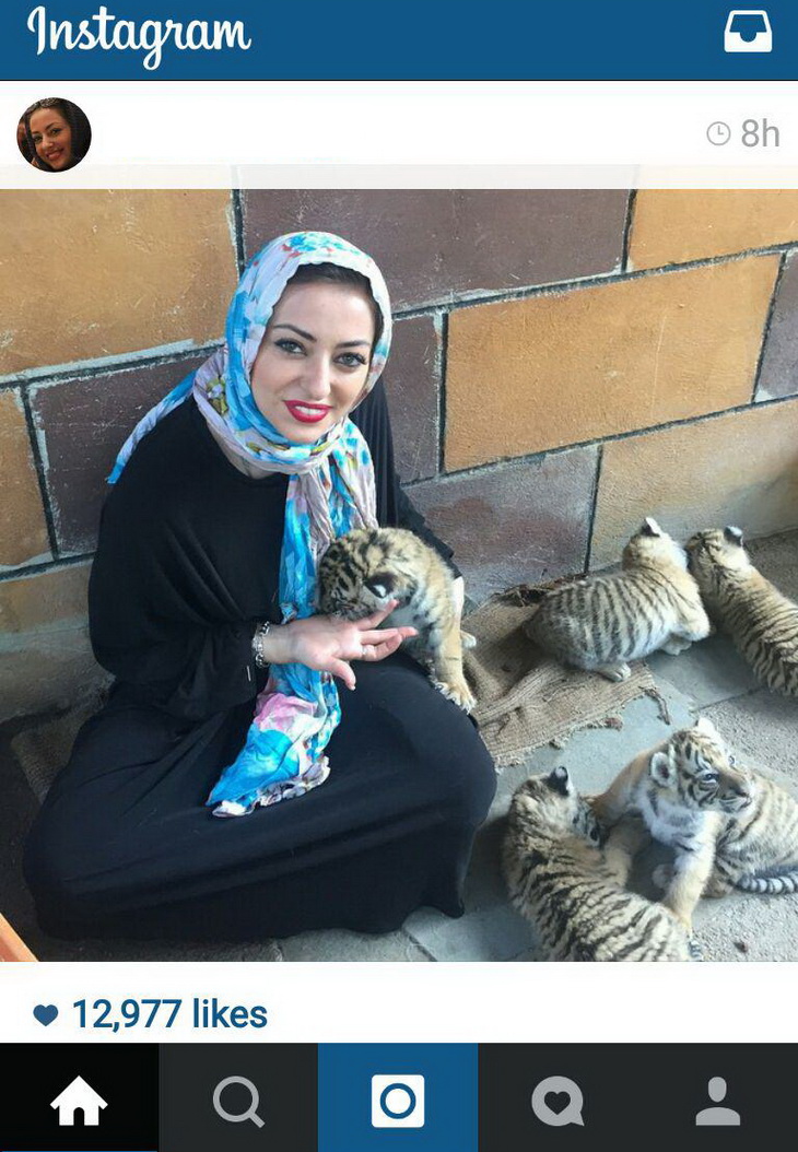 بازیگر سینما در محاصره ببرها + عکس
