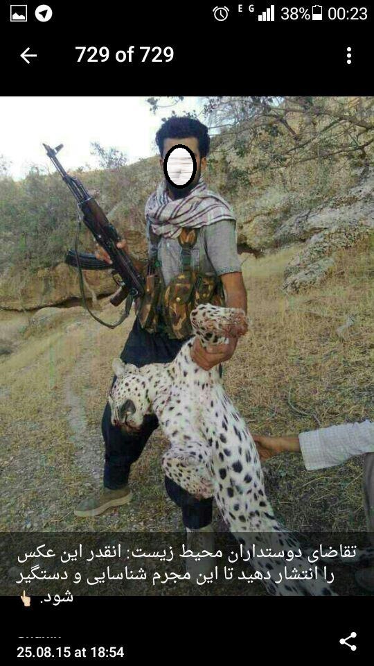 دیگر این عکس را بازنشر ندهید