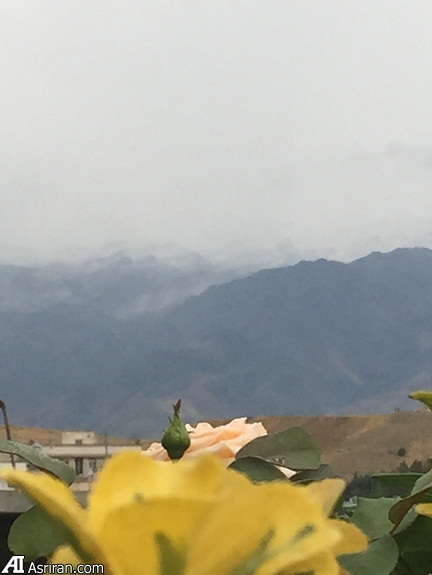 تصاویر/ اولین برف پاییزی در تهران