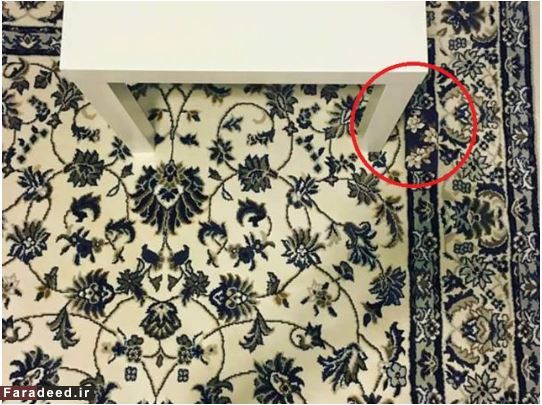 معما؛ موبایل را پیدا کن! +عکس