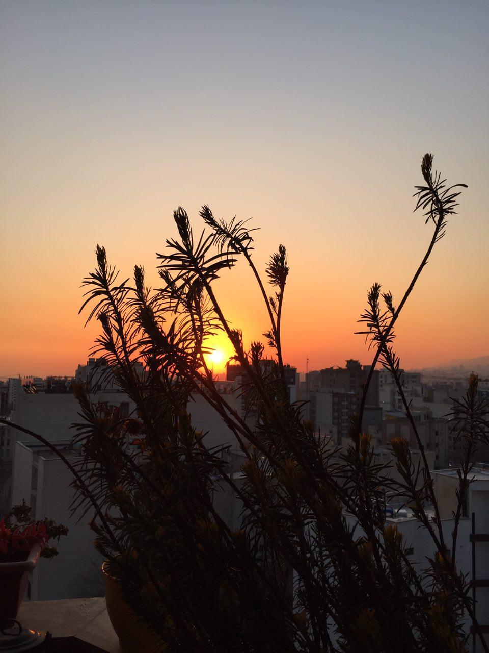 هیاهوی بهار