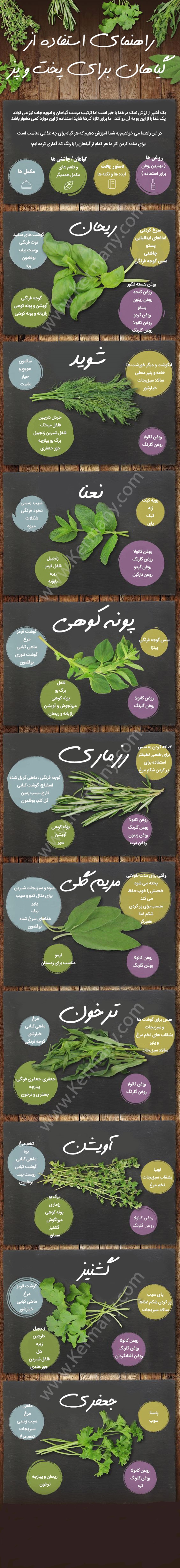 راهنمای استفاده از گیاهان در آشپزی+ اینفوگرافیک