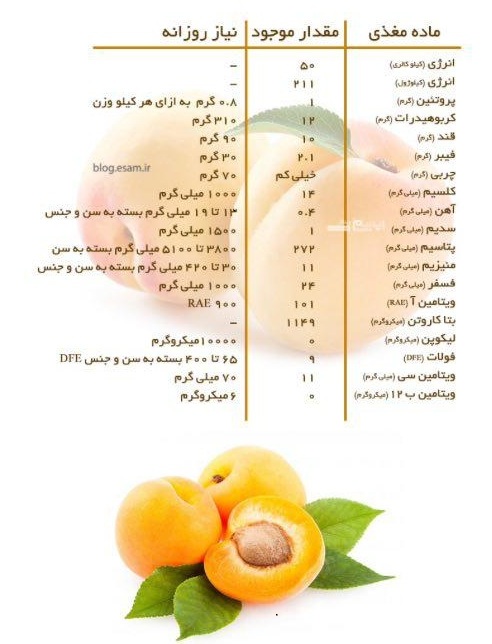 همه خواص زردآلو در یک نگاه