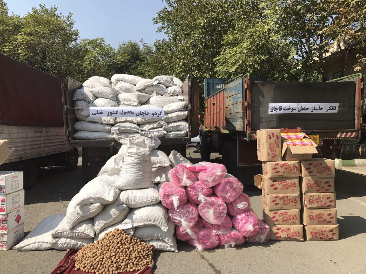 کشف گردو قاچاق محصول شیلی +عکس