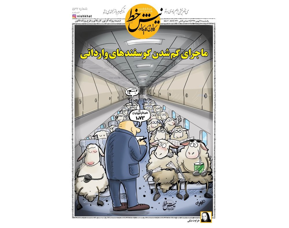 سلفی گوسفندها از داخل هواپیما!