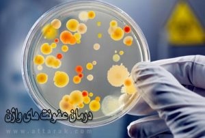درمان عفونت‌های زنانه با گیاهان دارویی