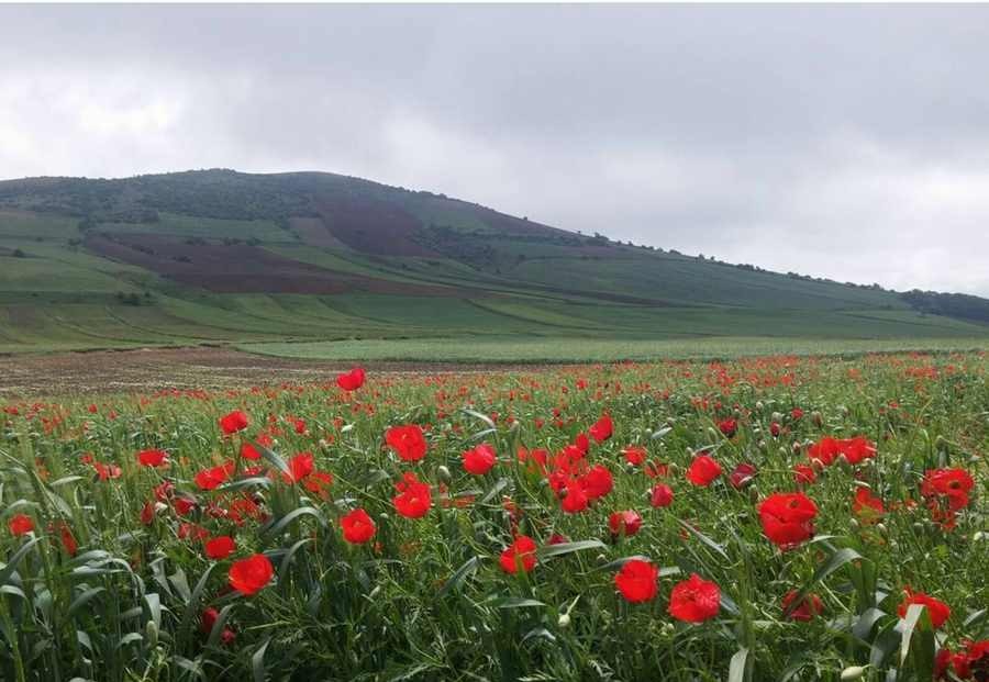 کالپوش، بهشت ایران که چهار فصل دارد! +تصاویر