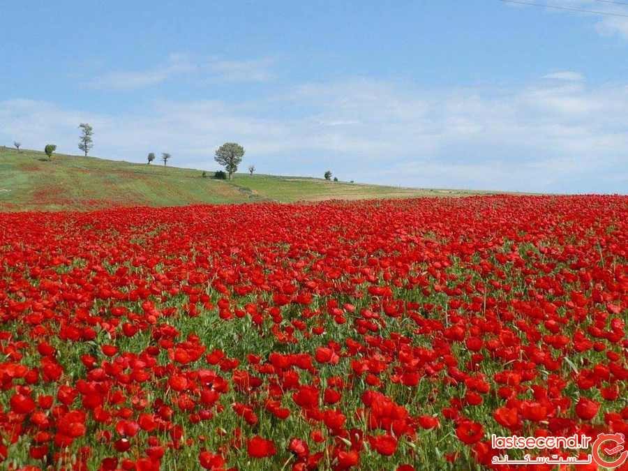 کالپوش، بهشت ایران که چهار فصل دارد! +تصاویر