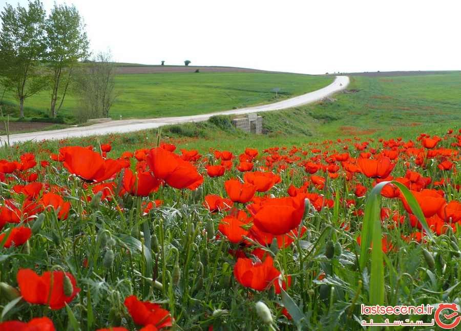 کالپوش، بهشت ایران که چهار فصل دارد! +تصاویر