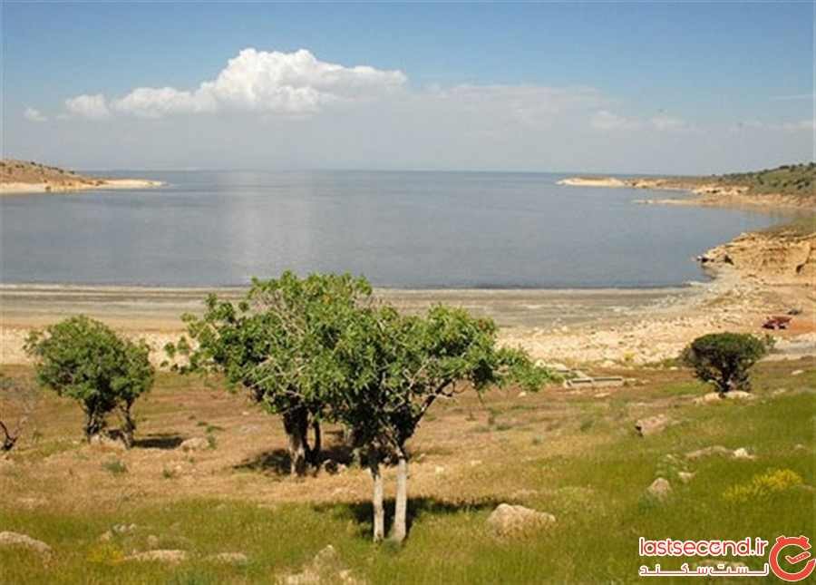 جزیره ی اشک، پناهگاه نادرترین گوزن جهان