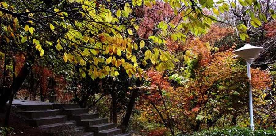پاتوق خارجی ها در تهران کجاهاست؟ + تصاویر