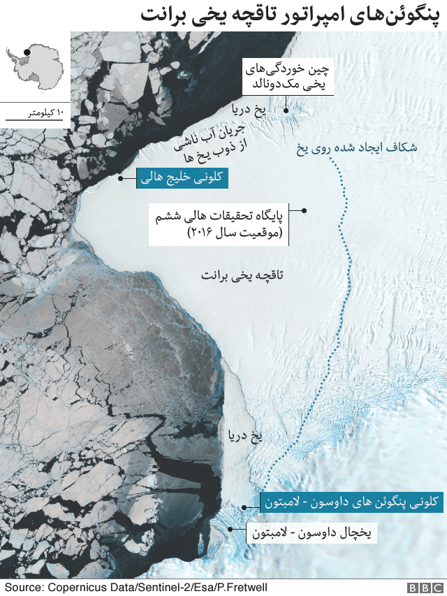 مرگ هزاران جوجه پنگوئن امپراتور در قطب جنوب