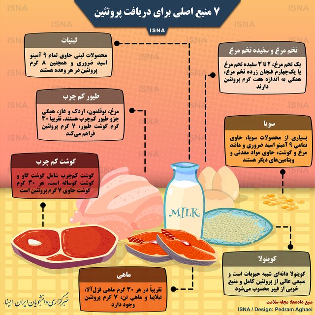 7 منبع اصلی برای دریافت پروتئین /اینفوگرافی