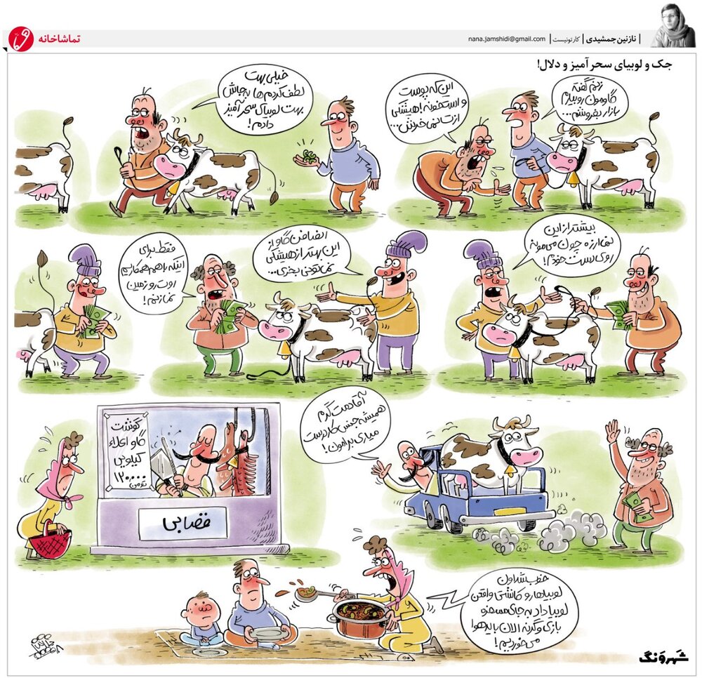 گوشت اینجوری گرون شد!