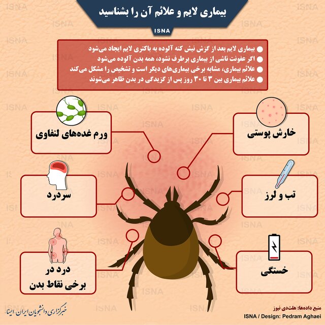 اینفوگرافی / بیماری لایم و علائم آن را بشناسید