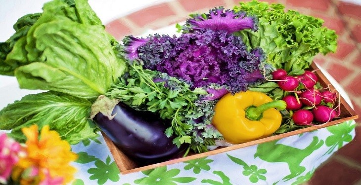 کدام مواد غذایی برای سلامت بدن بسیار مفید هستند؟
