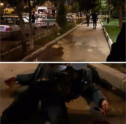 قتل هولناک مرد اردبیلی در مقابل دانشگاه/ عکس