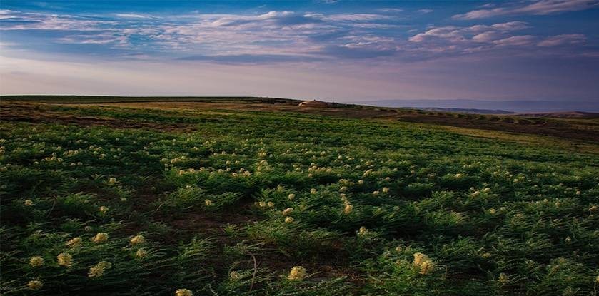 داغی که بر دل شمال غرب ایران خوش نشست! +تصاویر داغی که بر دل شمال غرب ایران خوش نشست! +تصاویر