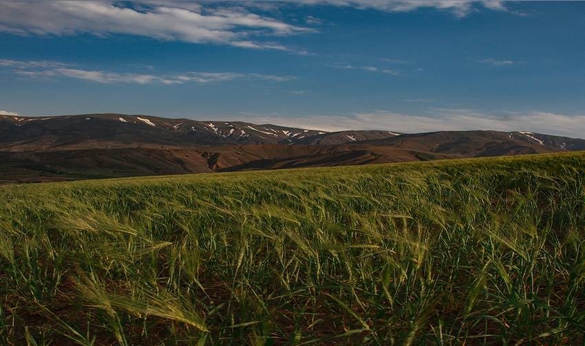 داغی که بر دل شمال غرب ایران خوش نشست! +تصاویر داغی که بر دل شمال غرب ایران خوش نشست! +تصاویر