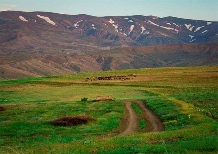 داغی که بر دل شمال غرب ایران خوش نشست! +تصاویر داغی که بر دل شمال غرب ایران خوش نشست! +تصاویر