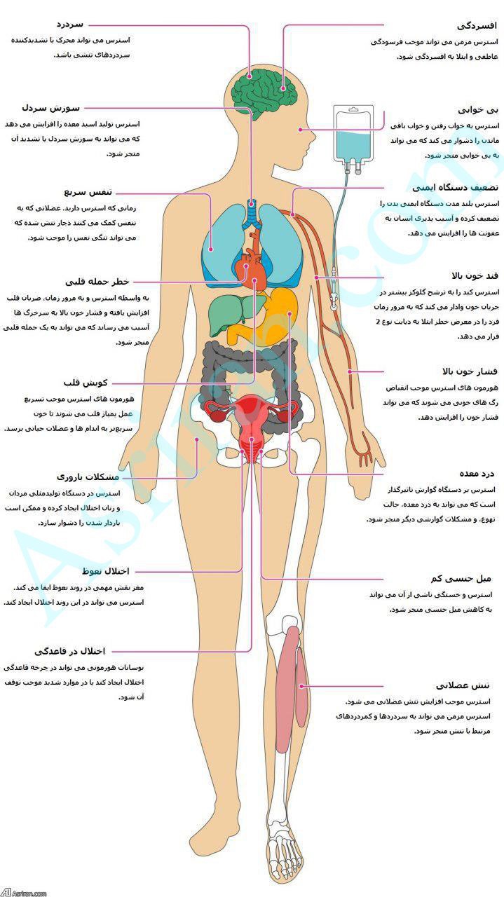 استرس با بدن چه می کند! /اینفوگرافی