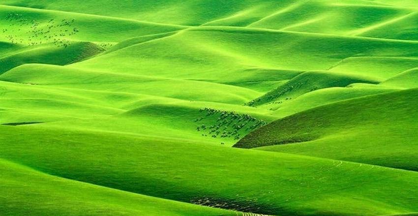 به اینجا عادت نکنید! اینجا ایران نیست! +تصاویر به اینجا عادت نکنید! اینجا ایران نیست! +تصاویر