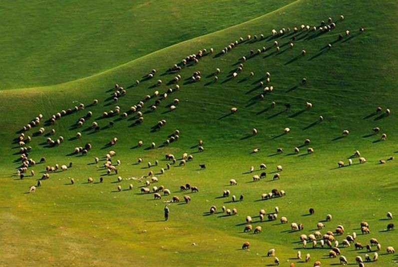 به اینجا عادت نکنید! اینجا ایران نیست! +تصاویر به اینجا عادت نکنید! اینجا ایران نیست! +تصاویر