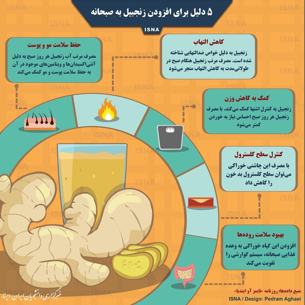 چرا باید هنگام صبحانه زنجبیل مصرف کرد؟/اینفوگرافیک چرا باید هنگام صبحانه زنجبیل مصرف کرد؟/اینفوگرافیک
