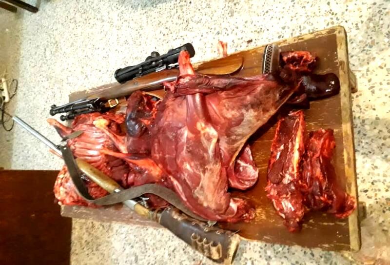 شکارچی کل و بز وحشی در جیرفت دستگیر شد شکارچی کل و بز وحشی در جیرفت دستگیر شد