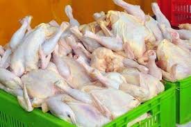تولید مرغ بالاتر از نیاز مصرفی استان است تولید مرغ بالاتر از نیاز مصرفی استان است