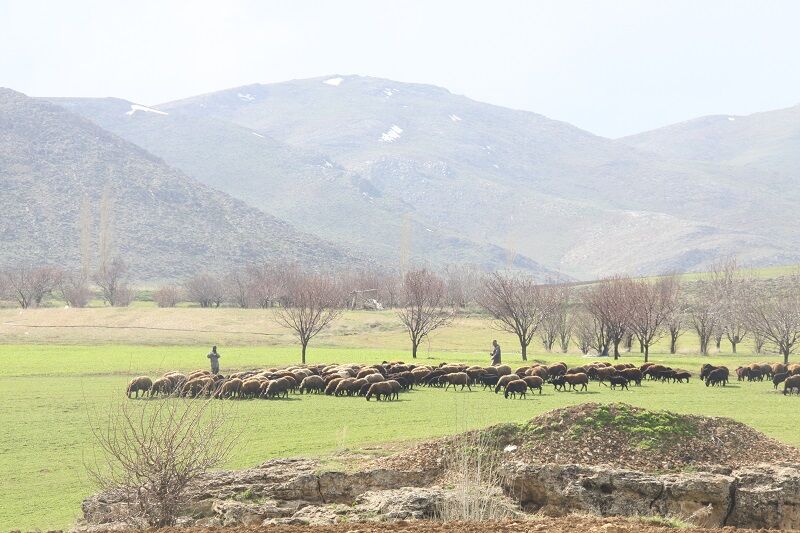 ضرب و شتم همیاران طبیعت در قروه