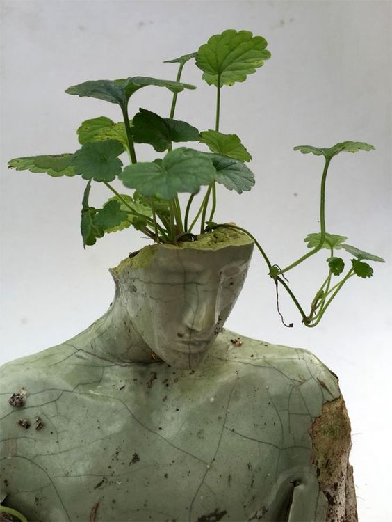 مردی سراپا تراژدی