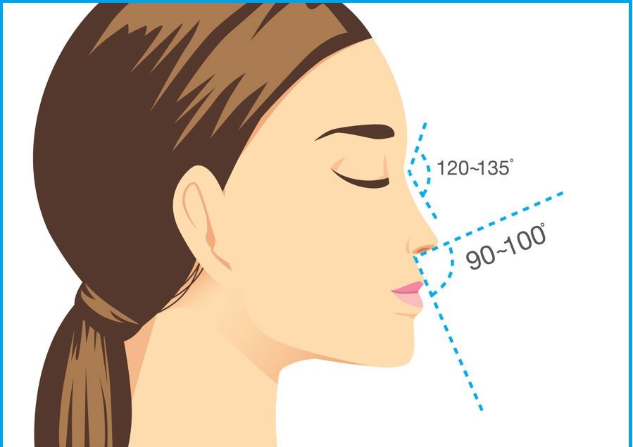 بهترین فرم بینی برای صورت من کدام است؟