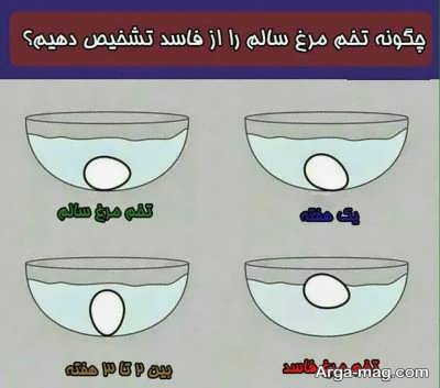 کشف دو تن تخم مرغ فاسد در قم کشف دو تن تخم مرغ فاسد در قم