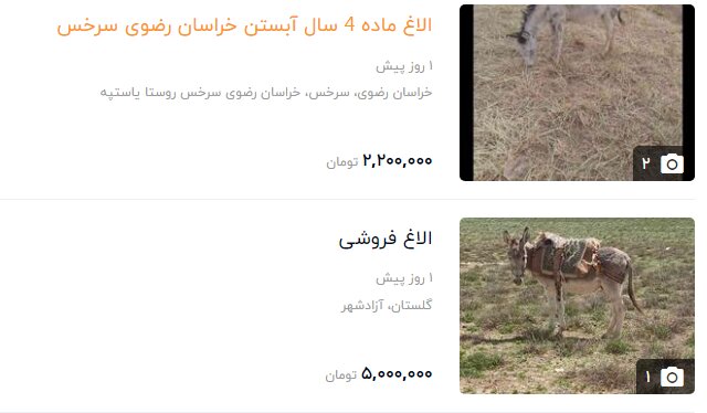 قیمت الاغ چند میلیونی شد