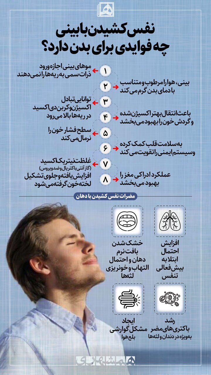 نفس کشیدن با بینی چه فوایدی برای بدن دارد؟ نفس کشیدن با بینی چه فوایدی برای بدن دارد؟