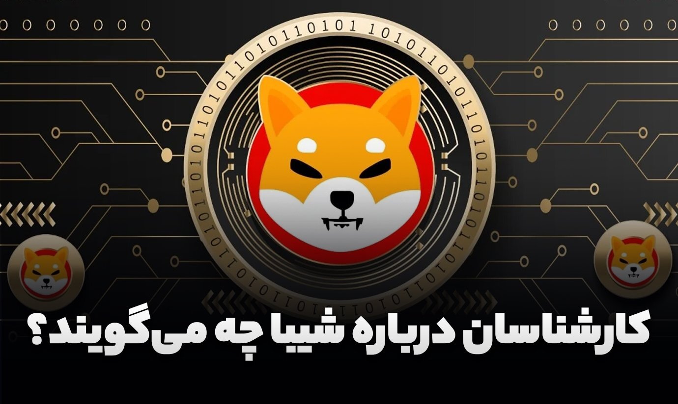 پیش‌بینی کارشناسان از قیمت شیبا اینو در سال ۲۰۲۴
