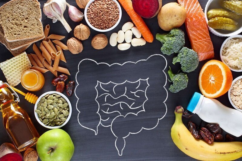 مواد غذایی در رژیم میکروبیوم مواد غذایی در رژیم میکروبیوم
