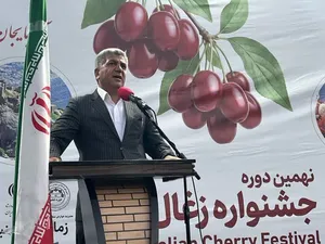 زغال‌اخته کلیبر در مسیر برندسازی ملی و جهانی